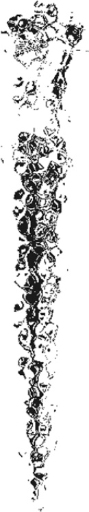 Иллюстрация к книге — Пекло [i_022.jpg]