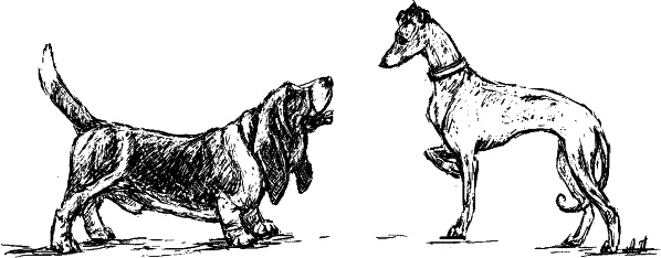 Иллюстрация к книге — Cобака. Полное руководство по дрессировке и уходу [i_010.jpg]