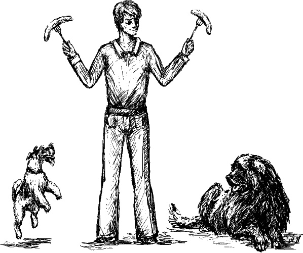 Иллюстрация к книге — Cобака. Полное руководство по дрессировке и уходу [i_023.jpg]