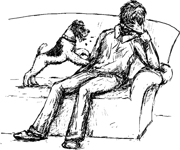 Иллюстрация к книге — Cобака. Полное руководство по дрессировке и уходу [i_042.jpg]