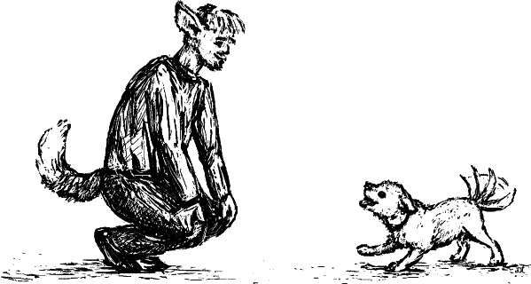 Иллюстрация к книге — Cобака. Полное руководство по дрессировке и уходу [i_047.jpg]