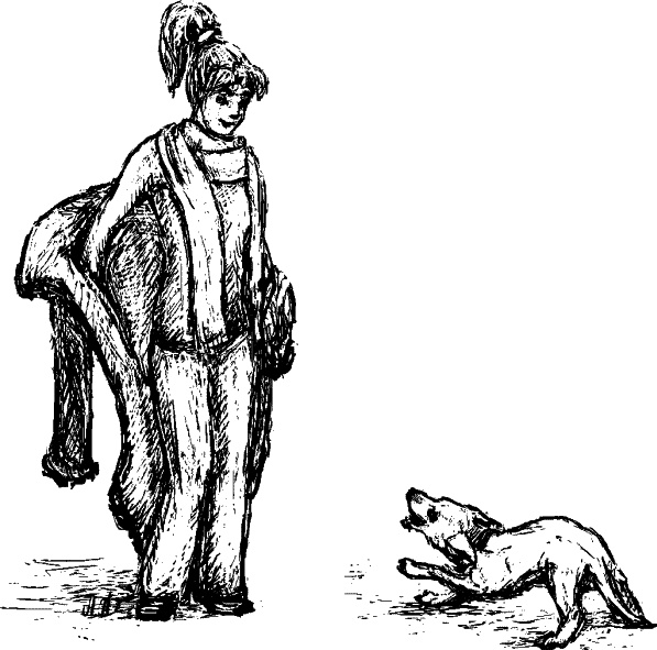 Иллюстрация к книге — Cобака. Полное руководство по дрессировке и уходу [i_053.jpg]