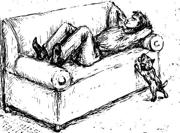 Иллюстрация к книге — Cобака. Полное руководство по дрессировке и уходу [i_058.jpg]