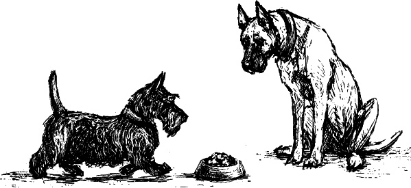 Иллюстрация к книге — Cобака. Полное руководство по дрессировке и уходу [i_064.jpg]