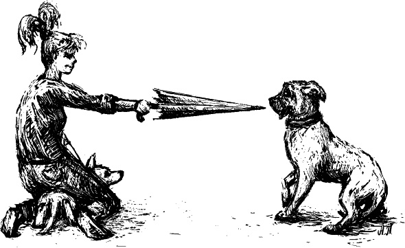 Иллюстрация к книге — Cобака. Полное руководство по дрессировке и уходу [i_067.jpg]