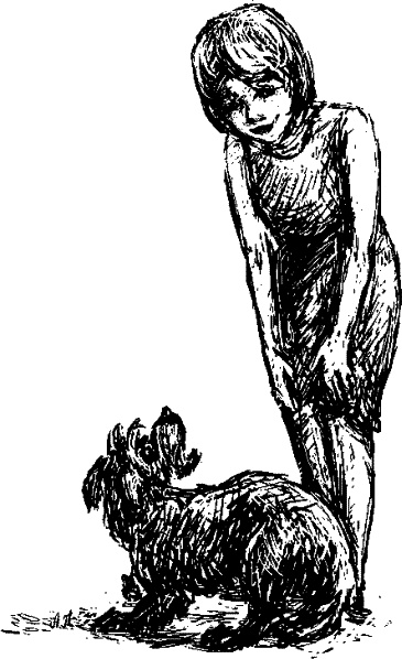 Иллюстрация к книге — Cобака. Полное руководство по дрессировке и уходу [i_075.jpg]