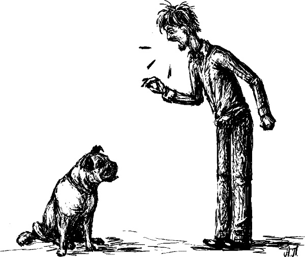 Иллюстрация к книге — Cобака. Полное руководство по дрессировке и уходу [i_079.jpg]