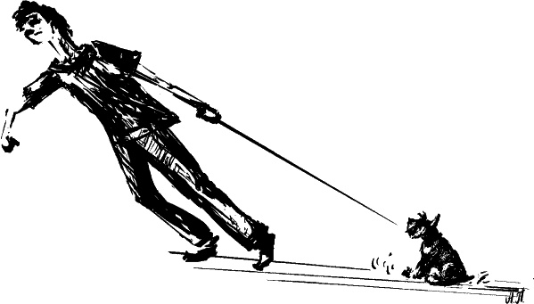 Иллюстрация к книге — Cобака. Полное руководство по дрессировке и уходу [i_084.jpg]