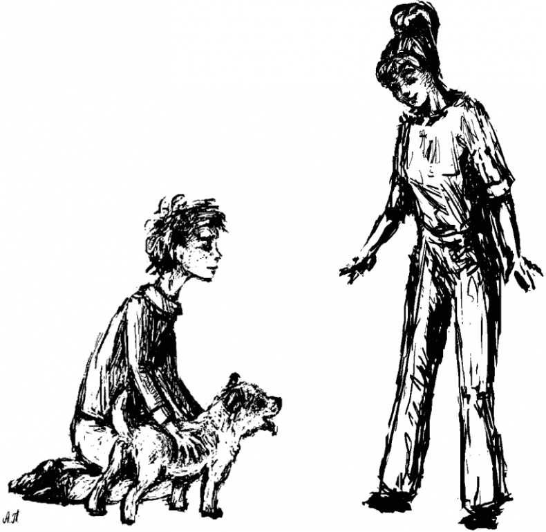 Иллюстрация к книге — Cобака. Полное руководство по дрессировке и уходу [i_087.jpg]