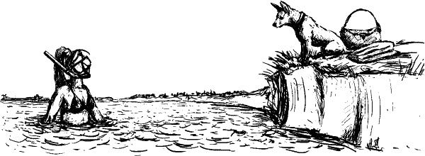 Иллюстрация к книге — Cобака. Полное руководство по дрессировке и уходу [i_090.jpg]