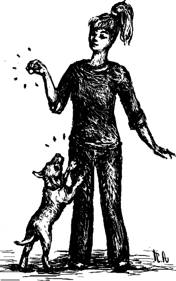 Иллюстрация к книге — Cобака. Полное руководство по дрессировке и уходу [i_092.jpg]