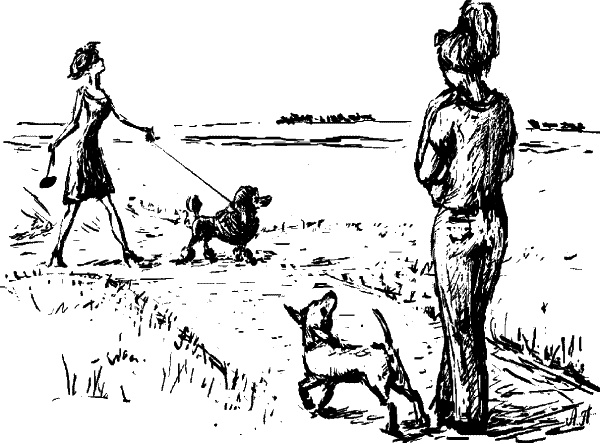 Иллюстрация к книге — Cобака. Полное руководство по дрессировке и уходу [i_093.jpg]