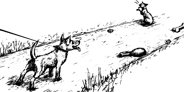 Иллюстрация к книге — Cобака. Полное руководство по дрессировке и уходу [i_094.jpg]