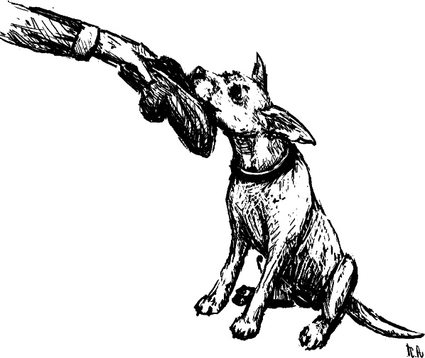 Иллюстрация к книге — Cобака. Полное руководство по дрессировке и уходу [i_095.jpg]