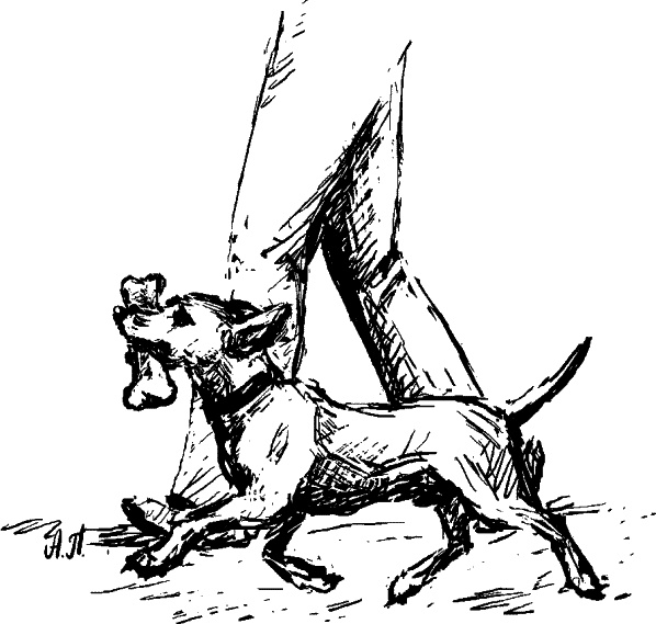 Иллюстрация к книге — Cобака. Полное руководство по дрессировке и уходу [i_096.jpg]