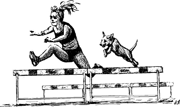 Иллюстрация к книге — Cобака. Полное руководство по дрессировке и уходу [i_101.jpg]