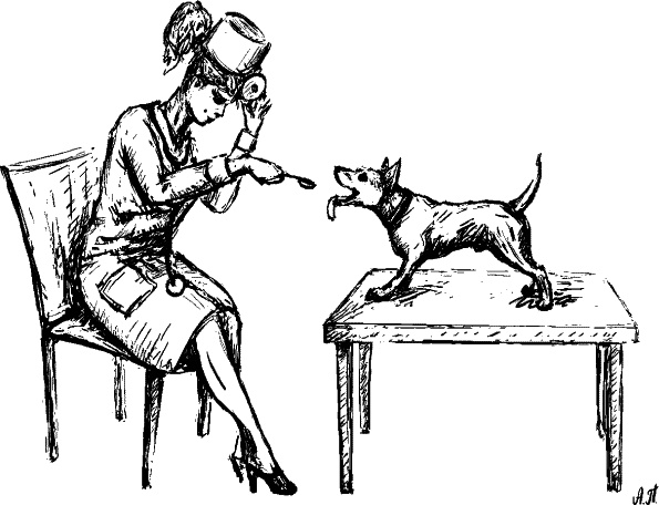 Иллюстрация к книге — Cобака. Полное руководство по дрессировке и уходу [i_106.jpg]