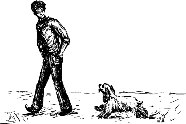 Иллюстрация к книге — Cобака. Полное руководство по дрессировке и уходу [i_107.jpg]