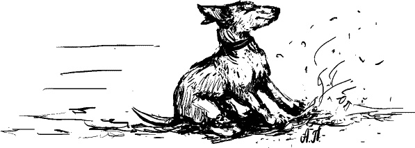 Иллюстрация к книге — Cобака. Полное руководство по дрессировке и уходу [i_108.jpg]