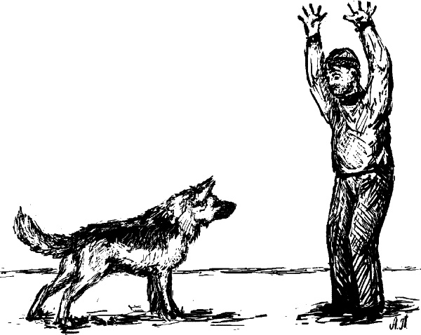 Иллюстрация к книге — Cобака. Полное руководство по дрессировке и уходу [i_109.jpg]