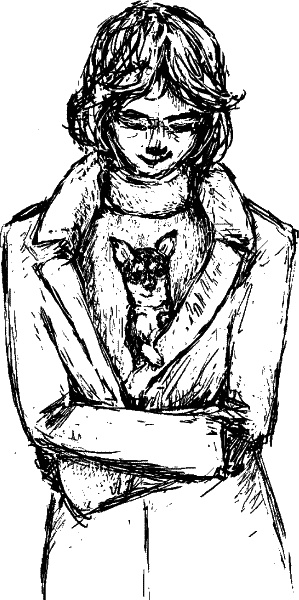 Иллюстрация к книге — Cобака. Полное руководство по дрессировке и уходу [i_118.jpg]