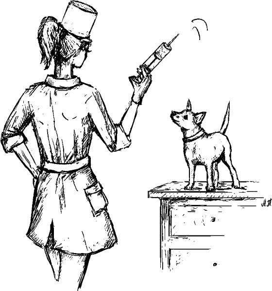 Иллюстрация к книге — Cобака. Полное руководство по дрессировке и уходу [i_130.jpg]