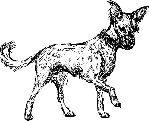 Иллюстрация к книге — Cобака. Полное руководство по дрессировке и уходу [i_134.jpg]