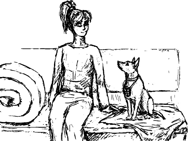 Иллюстрация к книге — Cобака. Полное руководство по дрессировке и уходу [i_135.jpg]