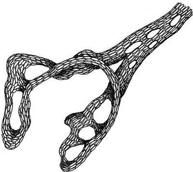 Иллюстрация к книге — Мифы о микробах и вирусах. Как живет наш внутренний мир [i_004.jpg]