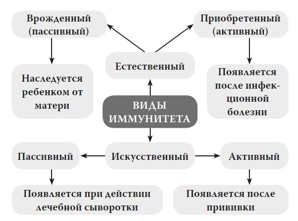 Иллюстрация к книге — Мифы о микробах и вирусах. Как живет наш внутренний мир [i_013.jpg]