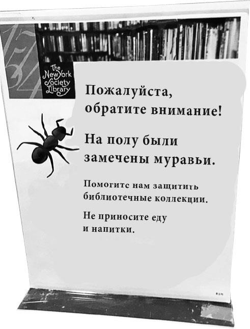 Иллюстрация к книге — Сильные слабости. Как превратить свои минусы в плюсы и стать счастливой [i_015.jpg]