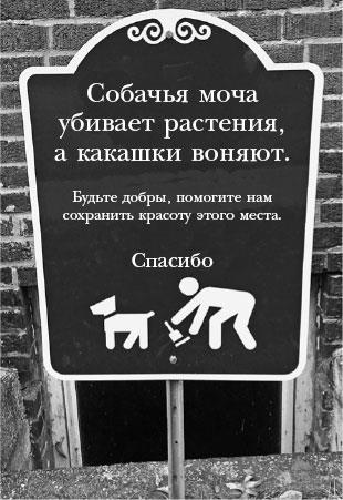 Иллюстрация к книге — Сильные слабости. Как превратить свои минусы в плюсы и стать счастливой [i_018.jpg]