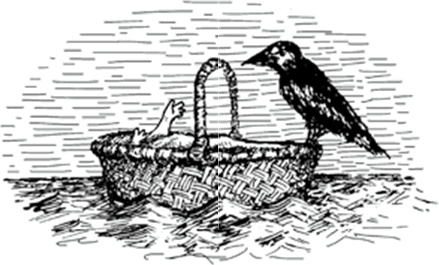 Иллюстрация к книге — Питер Нимбл и волшебные глаза [i_001.jpg]