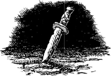 Иллюстрация к книге — Питер Нимбл и волшебные глаза [i_003.jpg]