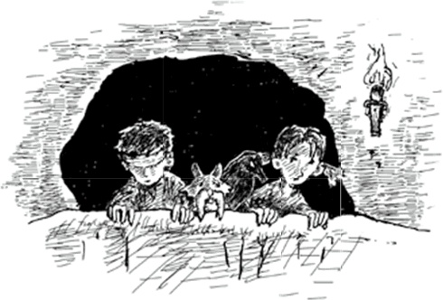 Иллюстрация к книге — Питер Нимбл и волшебные глаза [i_022.jpg]