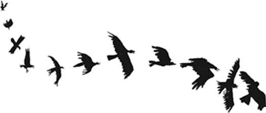 Иллюстрация к книге — Питер Нимбл и волшебные глаза [i_032.jpg]