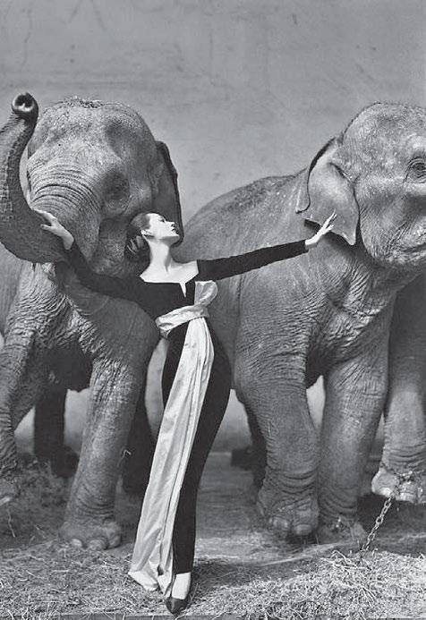 Иллюстрация к книге — Я – Кутюрье. Кристиан Диор и Я. [i_183.jpg]