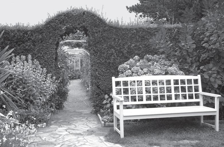 Иллюстрация к книге — Я – Кутюрье. Кристиан Диор и Я. [i_213.jpg]