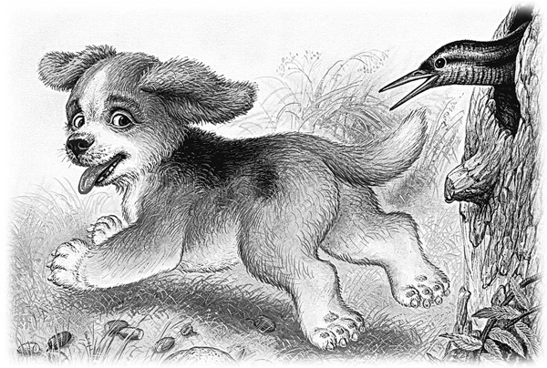 Иллюстрация к книге — Сказки и рассказы [_007copy.jpg]