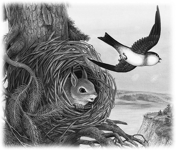 Иллюстрация к книге — Сказки и рассказы [_023copy.jpg]