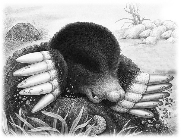 Иллюстрация к книге — Сказки и рассказы [_031copy.jpg]