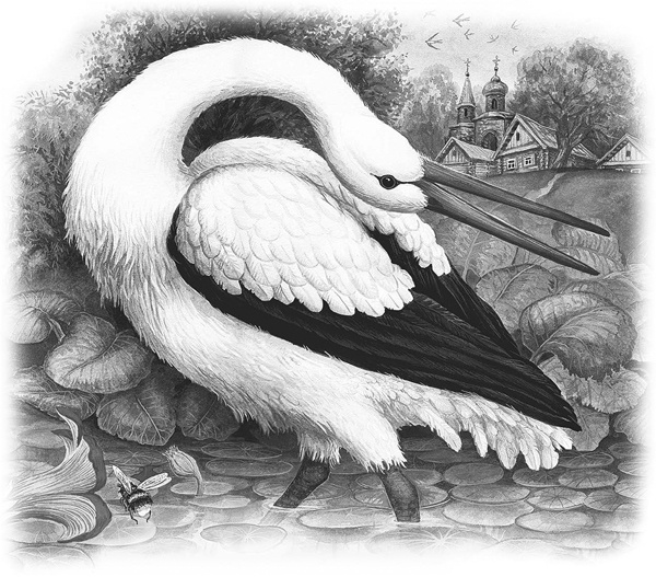 Иллюстрация к книге — Сказки и рассказы [_035copy.jpg]