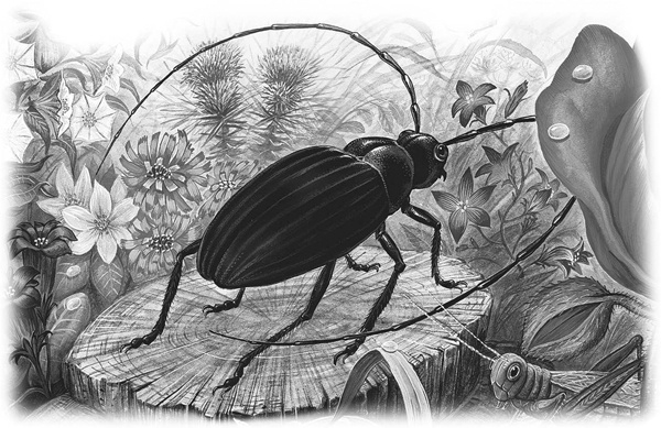 Иллюстрация к книге — Сказки и рассказы [_038copy.jpg]