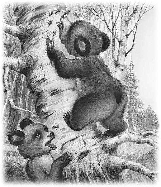 Иллюстрация к книге — Сказки и рассказы [_069.jpg]