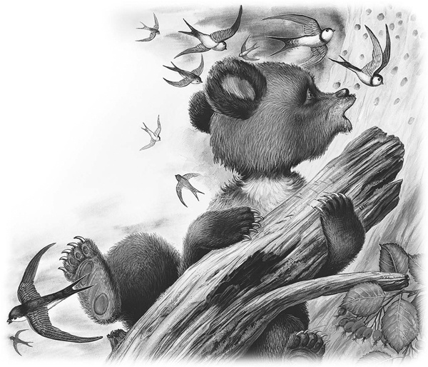 Иллюстрация к книге — Сказки и рассказы [_071copy.jpg]