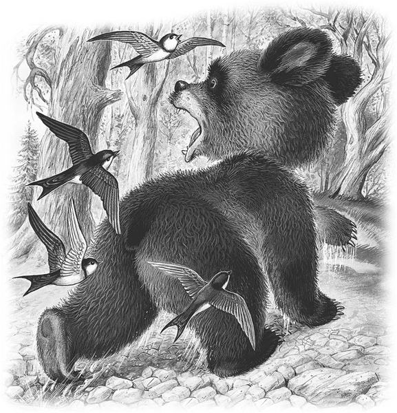 Иллюстрация к книге — Сказки и рассказы [_076.jpg]