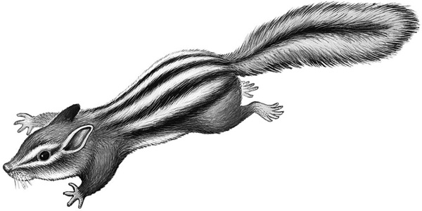 Иллюстрация к книге — Сказки и рассказы [_079copy.jpg]