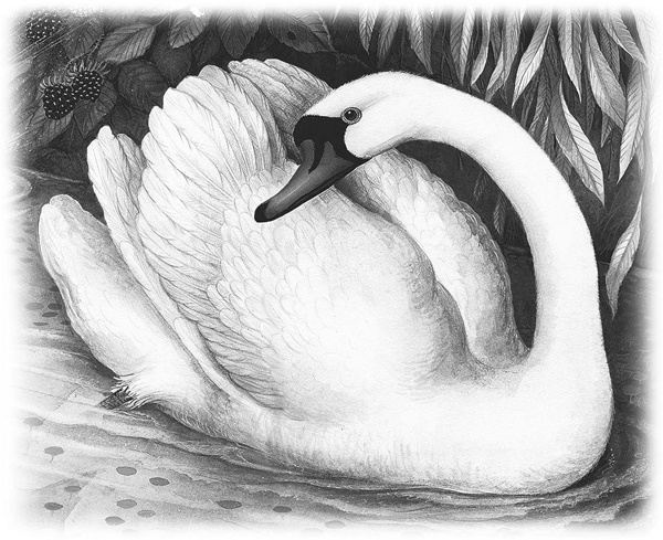 Иллюстрация к книге — Сказки и рассказы [_082copy.jpg]