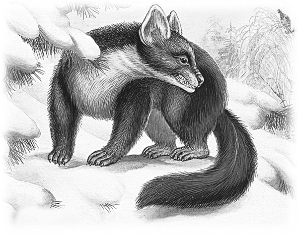 Иллюстрация к книге — Сказки и рассказы [_085copy.jpg]