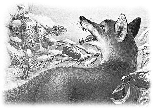 Иллюстрация к книге — Сказки и рассказы [_087copy.jpg]